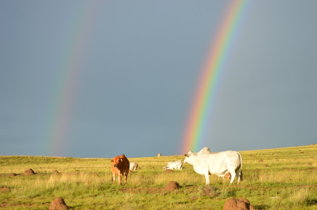 Now where is that pot of gold?