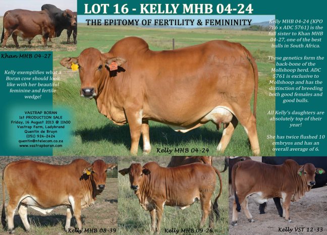 LOT 16_Kelly MHB 04-24