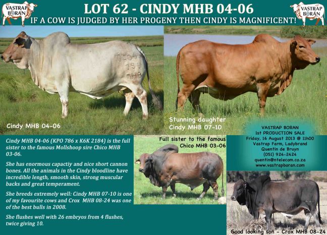 LOT 62 - Cindy MHB 04-06