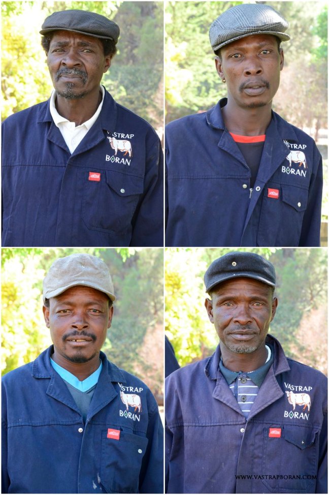Clockwise from top left - Thabiso Paulus Rasoeu; Montwedi Johannes Motsetse ('Sanè'); Sekhosana Mabaleka; Tsokolo Francis Molete ('Shilling')