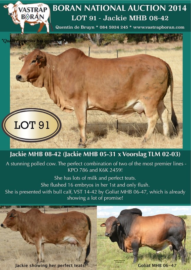Jackie MHB 08-42