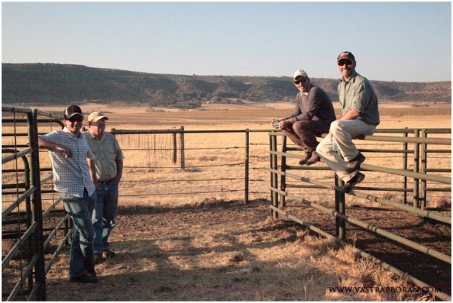 Late afternoon contemplation. 