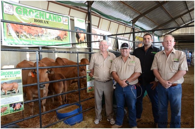 The happy team from Groenland Borane!