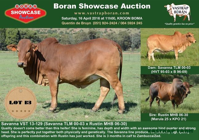 Savanna VST sold to B. Hurwitz Farming for R46'000.
