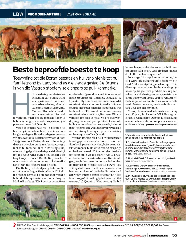 Vastrap Boran_LBWB 19-06-2015