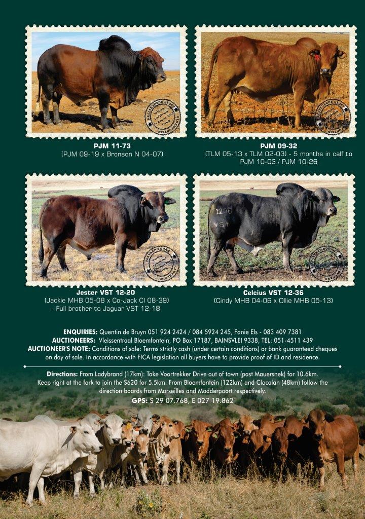 Vastrap_Boran_A3 Brochures_2015_4