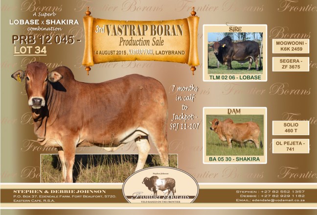 Frontier - PRB 12 45