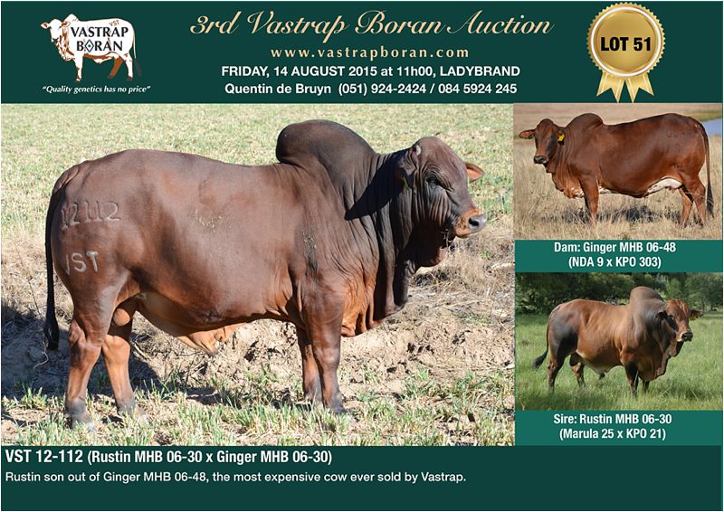 VST 12-112 sold for R80'000 at the 2015 Vastrap Auction.