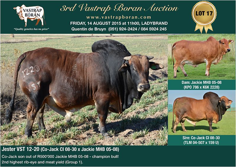 VST 12-20 sold to Rohan & Dylan Meintjies for R80'000. 