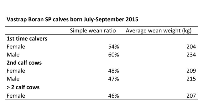 Microsoft Word - Document2