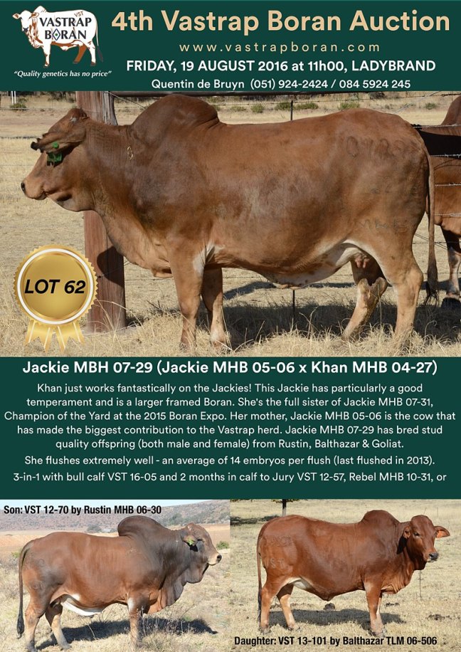 Jackie MHB 07-29(1)-2