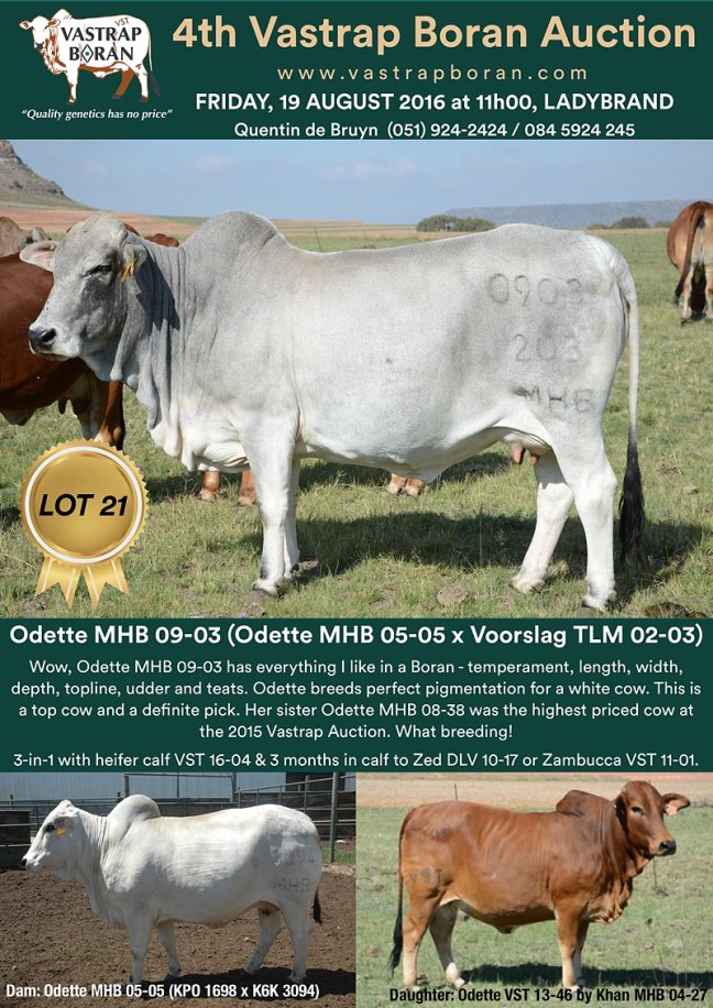Odette MHB 09-03-1