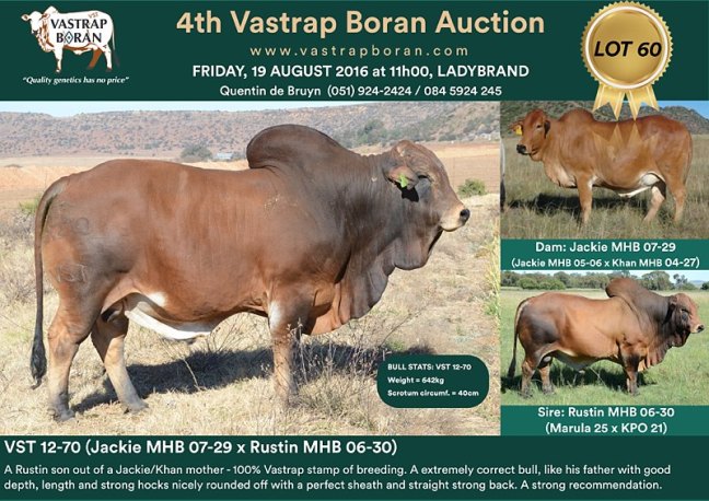 VST 12-70 sold for R55'000 to Gert Barnard (Chantemar Boran).
