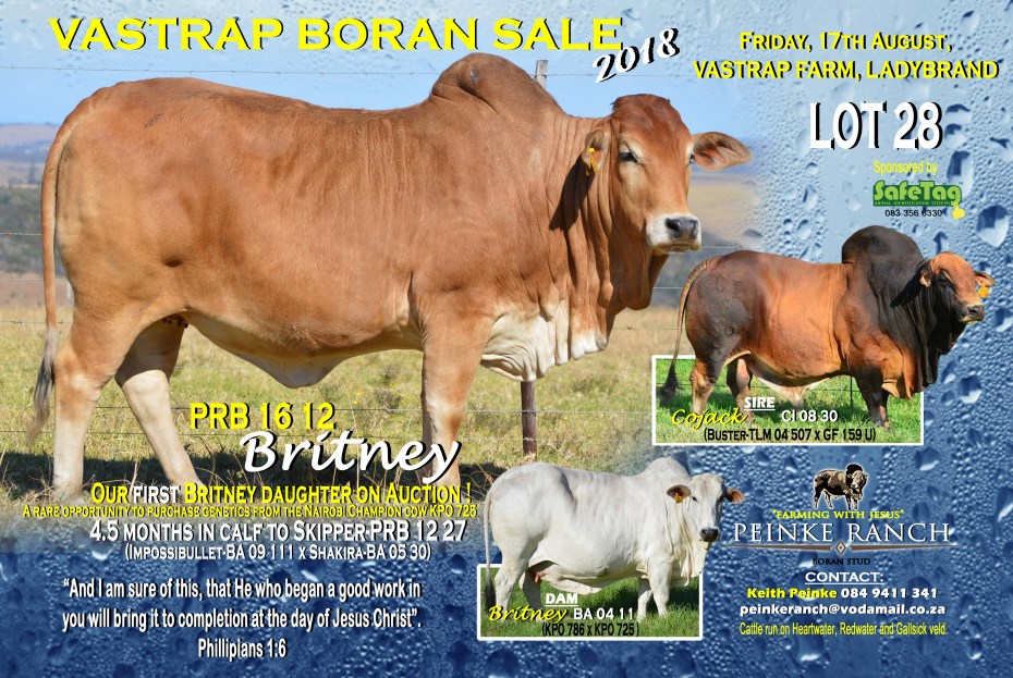 Britney - PRB 16 12 copy