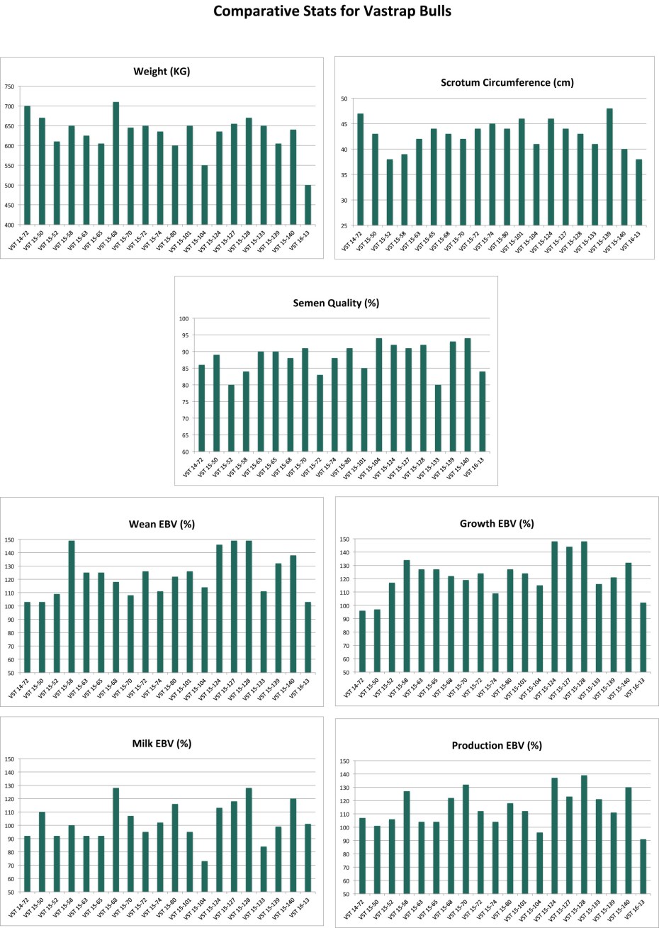 Bull performance charts.xlsx