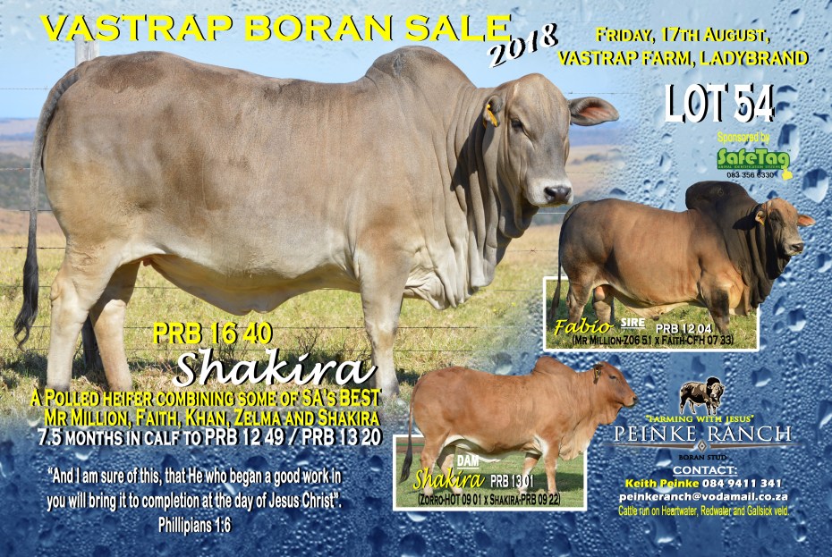 Shakira - PRB 16 40 copy