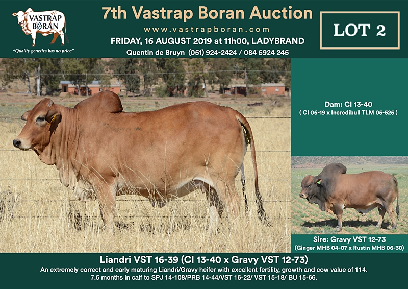 2. Liandri VST 16-39