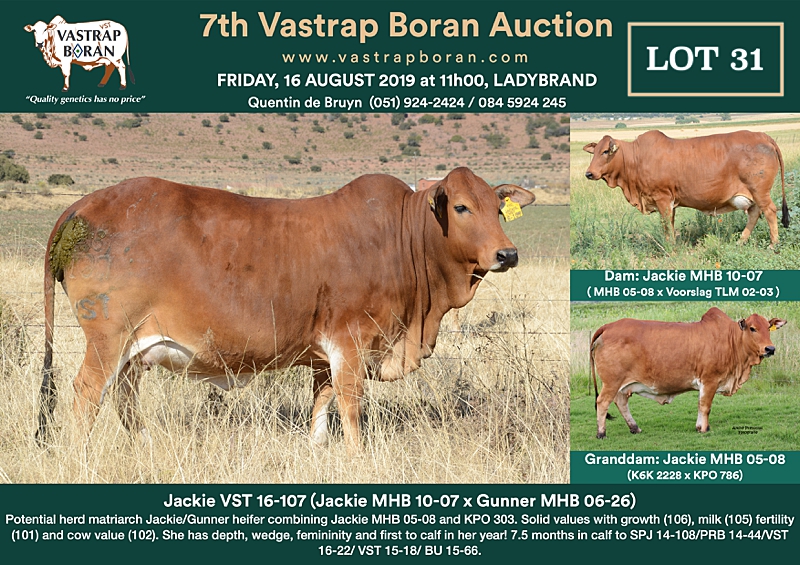 31. Jackie VST 16-107