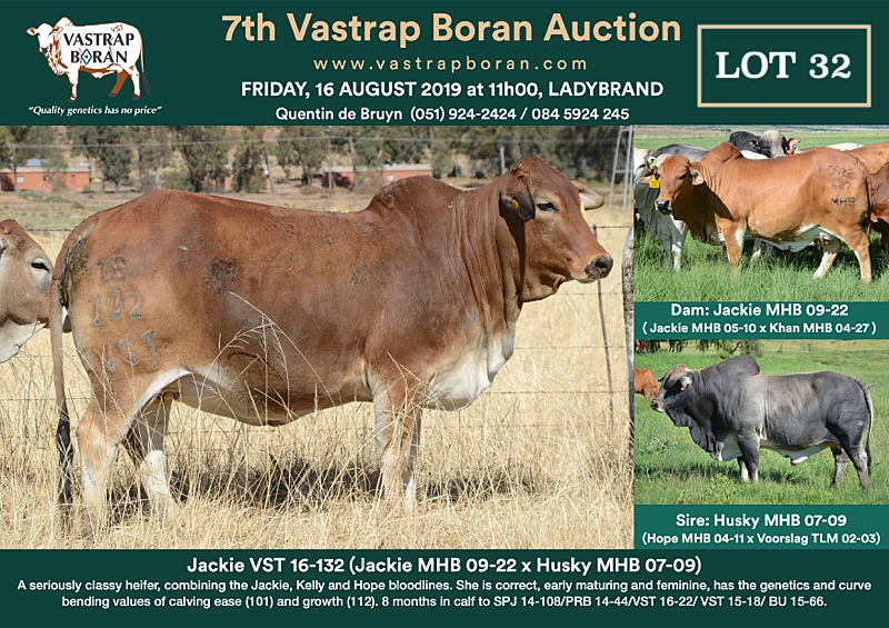 32. Jackie VST 16-132