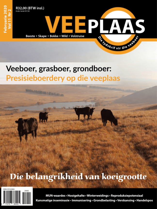 Screenshot 2020-02-09 at 12.42.17