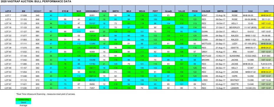 2020 AUCTION - Performance data