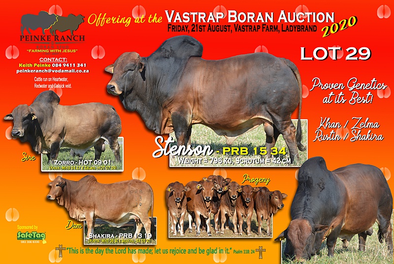 Pen Poster - Stenson - PRB 15 34 copy a